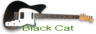 Black Cat